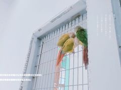 -成都动物园