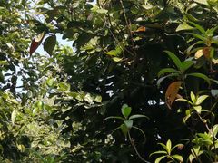 -广州神农草堂中医药博物馆