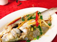 清蒸/红烧马友鱼-蛇口康乐快餐鱼仔档(翠苑小区店)