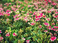 -狼山风景名胜区