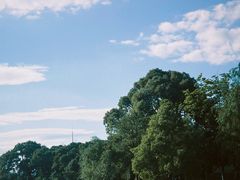 -八大山人梅湖景区
