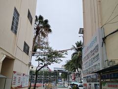 -三亚市第二中学