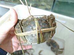 -芸海阁·农家私房菜(沙家浜景区出口店)