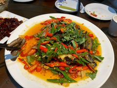 -飞虹鱼馆(春华路店)