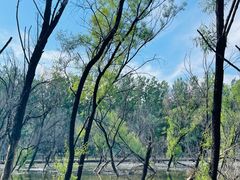 -青州市云门山风景区
