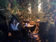 -斯多格书乡(北京大学畅春园店)