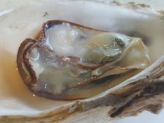 -港畔赶海蒸汽海鲜烧烤自助(仙螺岛店)