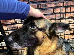 -KingBull私教健身&格斗订制(龙井商业中心店)