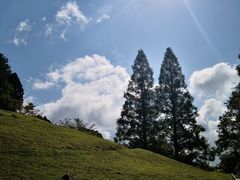 -神户市立六甲山牧场