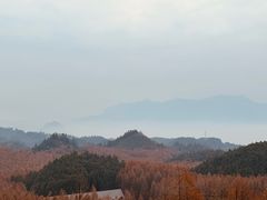 -山王坪喀斯特国家生态公园