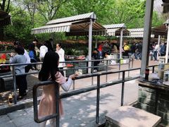 -吴淞炮台湾湿地森林公园烧烤区
