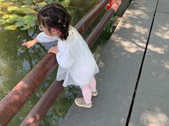 -西湖游船