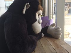 -ZOO COFFEE 动物园咖啡(亦庄店)