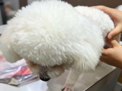 -派特宠物医院(圆融广场店)