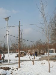 -优沃得自然教育农场·冰雪乐园·生日会·研学