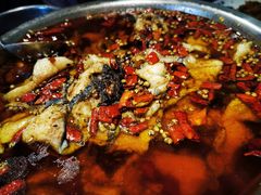 水煮鱼-红京鱼(西坝河店)