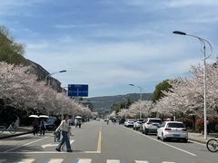 -江南大学(蠡湖校区)