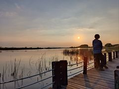 -苏州太湖湖滨国家湿地公园