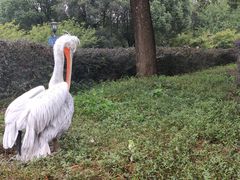 -无锡动物园·太湖欢乐园