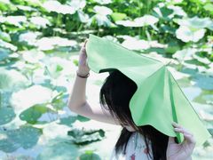-北陵公园