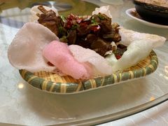 -丁老爷子苏香圆