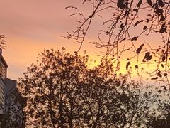 -芭比堂爱心动物医院(柯桥康爱分院)