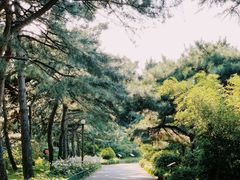 -国家植物园南园