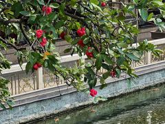 -番禺宾馆丽苑厅