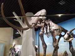 -国家自然博物馆