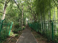 -上海佘山国家森林公园西佘山园