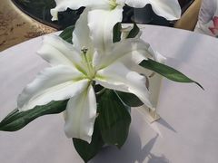 -泓盛花园