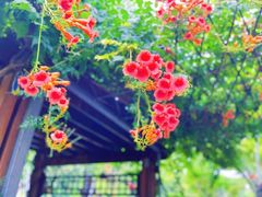 -龙华寺