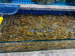-骏莱海鲜鱼港(五角场店)