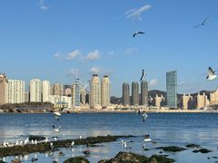 -黑石礁公园