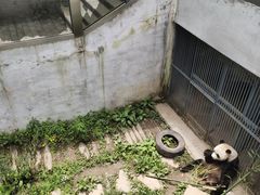 -黔灵山公园