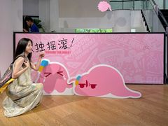 -Sony Store 索尼(上海淮海中路店)