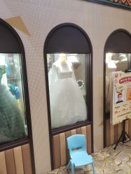 -卡通尼·Safari非洲探索乐园·生日会(金桥国际商业广场店)