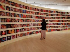 -深圳湾万象城(南山店)