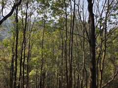 -梧桐山风景名胜区