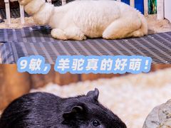 -正佳极地海洋世界