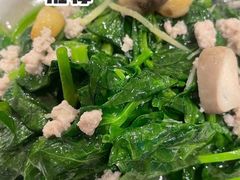 豆苗-宜宾海鲜酒家·三十年老字号