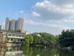 -荔湾湖公园
