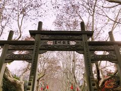 -杭州黄龙洞