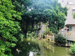 -小洲村