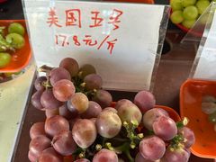 -马陆小张葡萄园农家乐