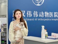 -伟伟宠物医院·CT影像中心·瑞派犬猫综合性门诊(汉口总院)