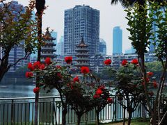 -宝岛公园