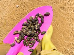 -东戴河风景区-止锚湾