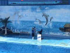 -石林冰雪海洋世界