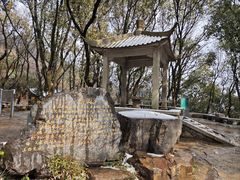 -惠山国家森林公园